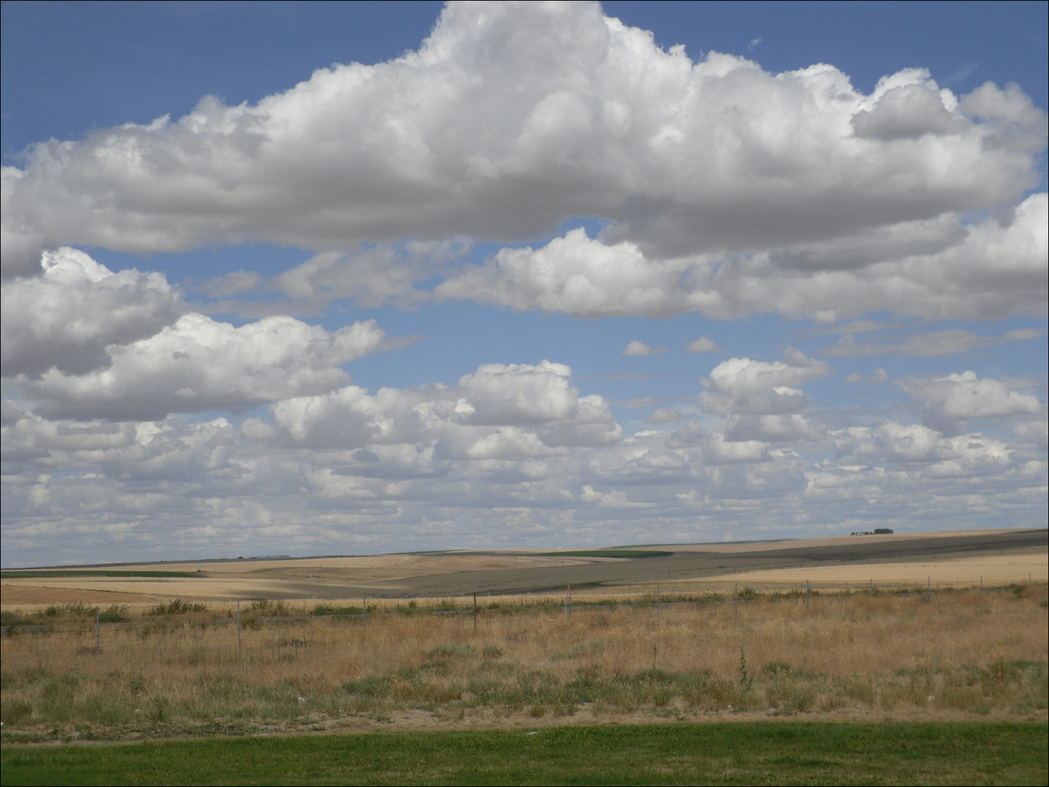 Ritzville, WA- Wheat fields